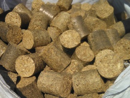 Allgäu Brixx Briketts