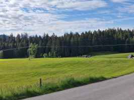 Familie hinter Brennholz Westallgäu